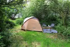 Non Electric Woodland Tent Pitch (Small) at Fox Camping