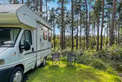 Electric Hardstanding And Grass Pitches at Chase Camping at Tackeroo Campsite