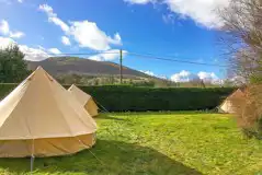 4m Bell Tents at The Old School Campsite