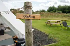 Starling bell tent