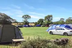 Electric Grass Pitches (10 amp) at Common End Farm