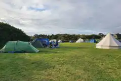 Sea View Non Electric Grass Pitches (Adult Only) at Parknoweth Farm Camping