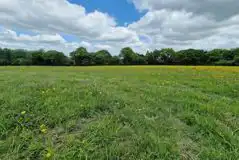 Non Electric Grass Pitches (Large) at Beaulieu Farm Campsite