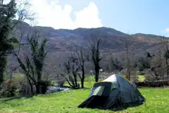 Electric Grass Tent and Campervan Pitches at Cae Du Campsite