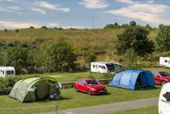 Electric grass pitches (top field)