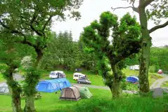 Electric Grass Pitches at Gwerniago Camping Site