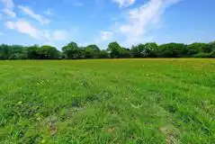 Electric Grass Pitches (Large) at Beaulieu Farm Campsite