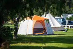 Electric Grass Tent Pitches at Findhorn Bay Holiday Park