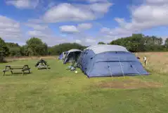 Electric grass tent pitch - Lake View