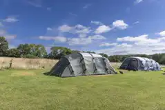 Electric grass tent pitch - Lake View