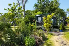 Tench Shepherd's Hut at Hastingford Fishery