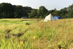 Grass Meadow Tent Pitches at Cilrath Wood Camping 