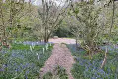 Forest Floor Tent Pitches at Cilrath Wood Camping 