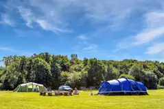 Non Electric Grass Pitches at Wowo Campsite