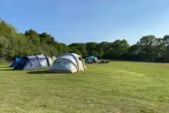 Non Electric Meadow Pitches at Pop-Up Woods and Meadows Campsite