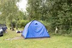 Electric grass tent pitch - Overview