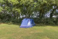 Non electric grass tent pitch - Ridgeway