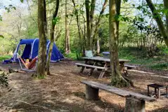 Frank's Spot Non Electric Woodland Pitch at Wowo Campsite