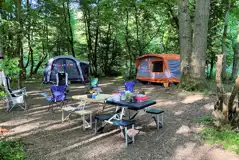 Non Electric Woodland Pitches at Pop-Up Woods and Meadows Campsite