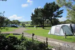 Electric Grass Tent Pitches at Appuldurcombe Gardens Holiday Park