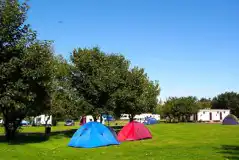 Small Grass Tent Pitches (Optional Electric) at Wick River Campsite