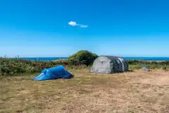 Far Away Field pitches