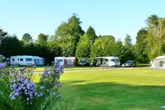 Electric Grass Pitches at Eden Valley Holiday Park