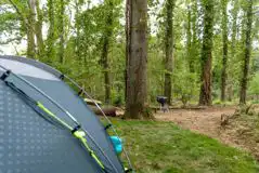 Non Electric Woodland Pitches at Rainbow Retreat