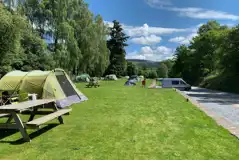 Small tent pitches