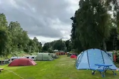 Medium tent pitches