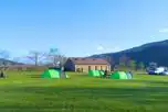 Grass backpacker pitches