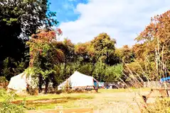Coppice pitches with picnic benches and BBQ areas