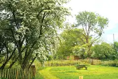 Coppice pitches with picnic benches and BBQ areas