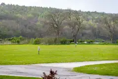 Electric grass tent pitch