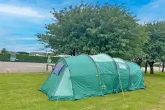 Electric grass tent pitches