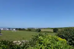 Electric grass silver plus Starling field pitches