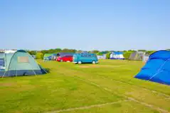 Electric Grass Pitches - Silver Plus