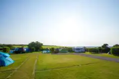 Electric Grass Pitches - Silver Plus