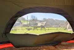View from Stargaze bell tent