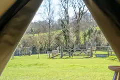 View from Bell view bell tent