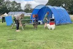 Large electric grass camping pitch (Cloverleaf) Large electric grass camping pitch (Cloverleaf)