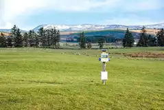 Optional electric grass tent pitches