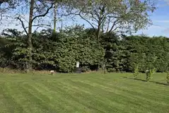 Enclosed electric grass pitches Enclosed electric grass pitches