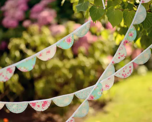 Dog friendly glamping