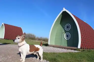 Dog friendly camping and glamping pods