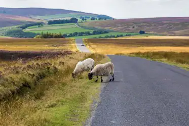 Best campsites in Yorkshire