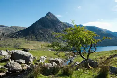 best campsites in Wales