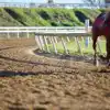 campsites near Chelmsford City Racecourse