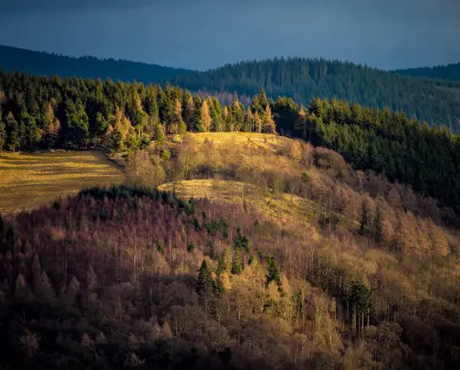 Campsites near Glentress Forest