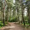 Campsites near Moors Valley Country Park